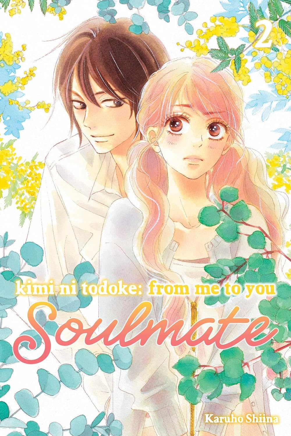 02/07/2024) Kimi Ni Todoke: From Me to You: Soulmate Vol. 02