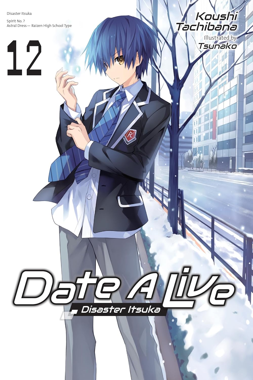 (18/06/2024) Date a Live Vol. 12 (Light Novel)