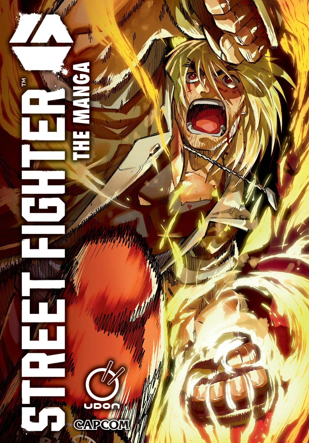 (05/11/2024) Street Fighter 6: The Manga