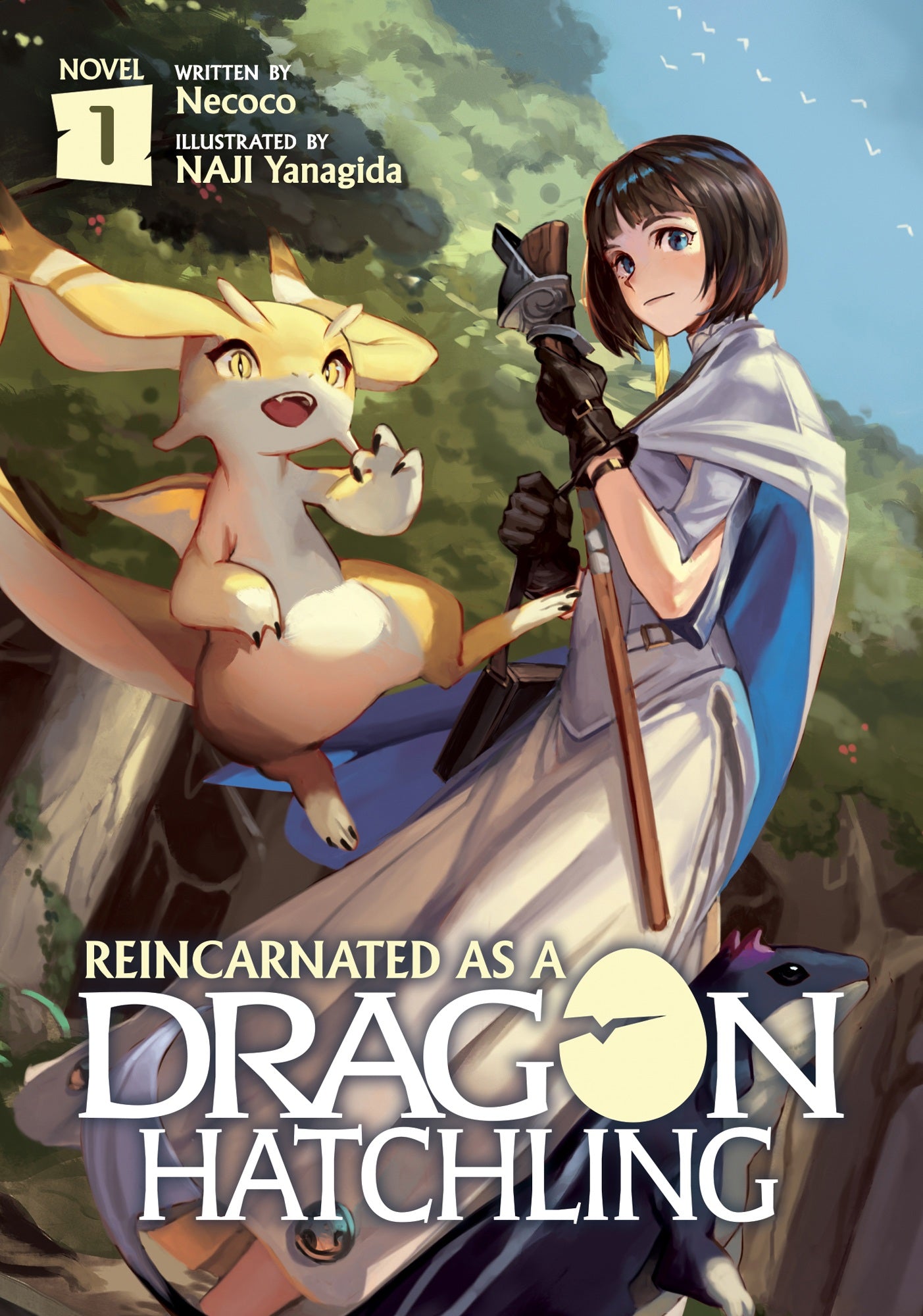 Reincarnated as a Dragon Hatchling (Light Novel) Vol. 01