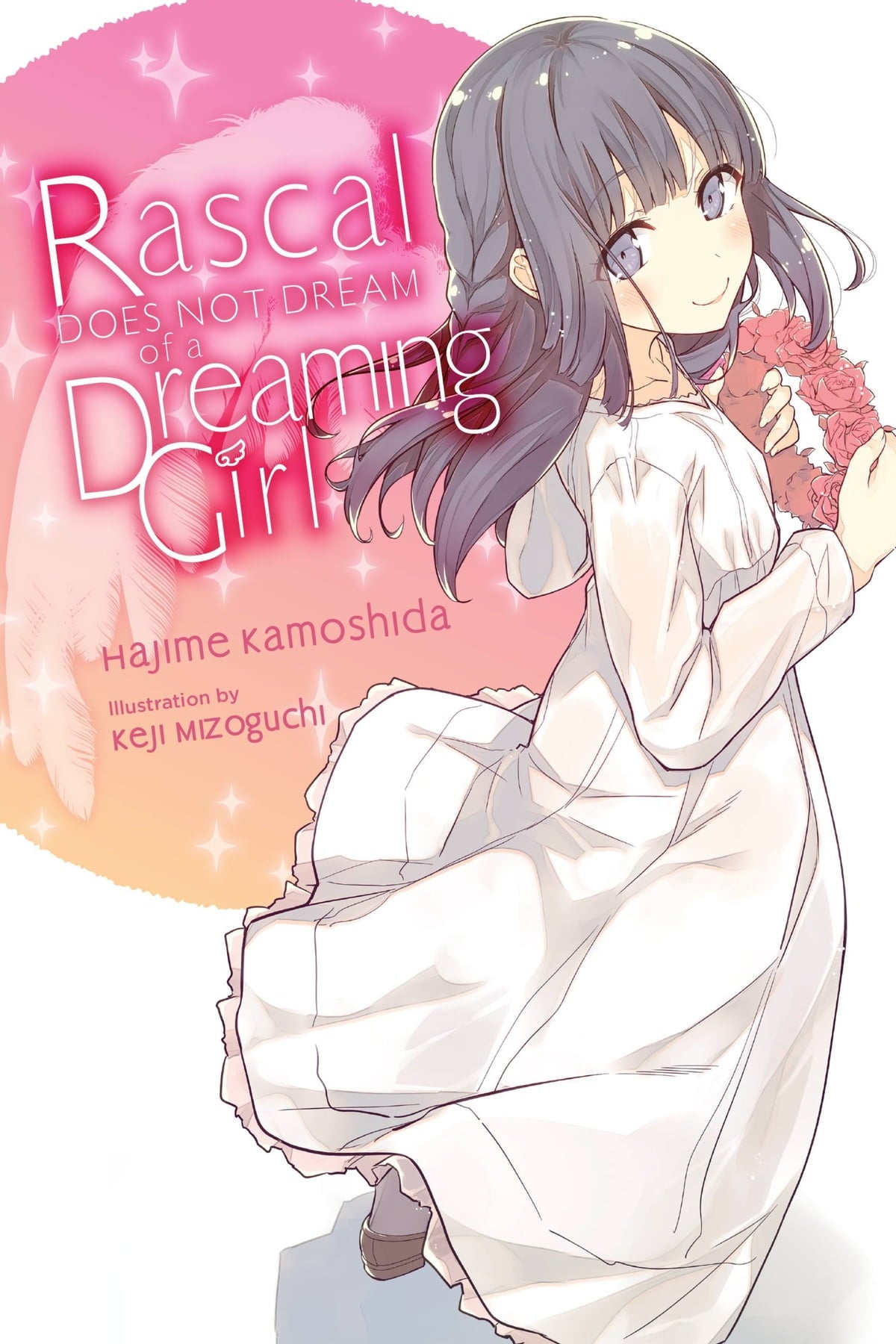 Rascal Does Not Dream of a Dreaming Girl (Light Novel)